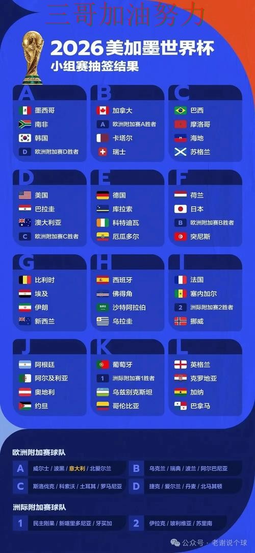解析世界杯竞猜网站：从访问方式到直播观看全流程解析 - FIFA World Cup 2026
