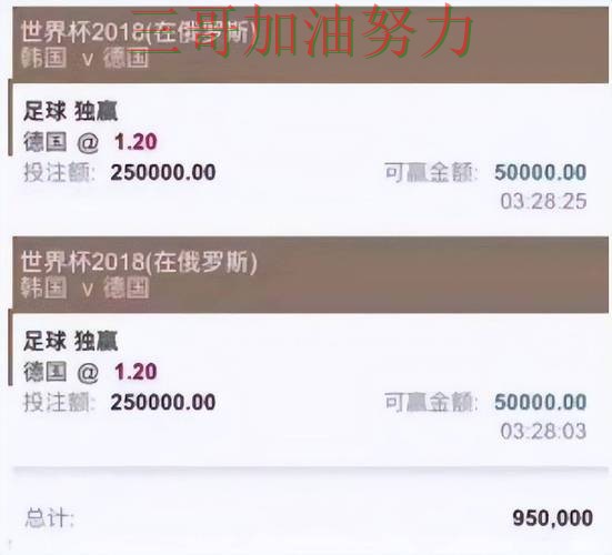 揭秘世界杯投注平台推荐：从官网直达到直播观看全流程解析 - 世界杯全球总决赛